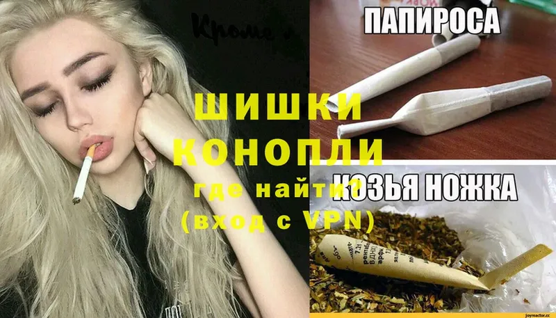 как найти наркотики  Волоколамск  Бошки марихуана SATIVA & INDICA 